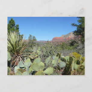 Carte Postale Rochers Rouges et Cactées I