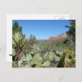 Carte Postale Rochers rouges et cactus I (Devant / Derrière)