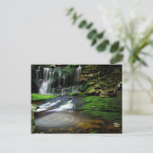 Carte Postale Roches moussues de tourbillonnement de piscine de (Debout devant)