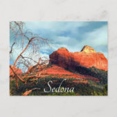 Carte Postale Roches rouges pittoresques de Sedona (Devant)