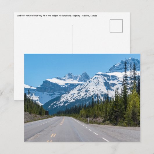 Carte Postale Rocheuses canadiennes - Route 93 de l'Icefields Pa (Devant / Derrière)