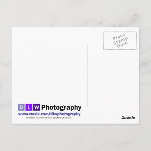 Carte Postale Rock (Dos)