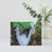 Carte Postale Rock a Bye Baby Orangutan (Debout devant)