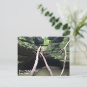 Carte postale Rock affamé (Debout devant)