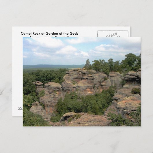 Carte Postale Rock Camel (Devant / Derrière)