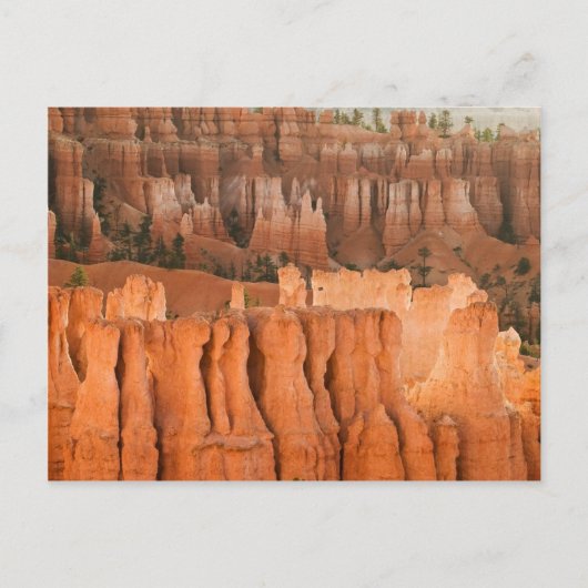 Carte Postale Rock Garden (Devant)