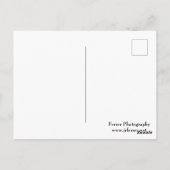 Carte Postale Rock Wall et Woods à Castle Mound (Dos)