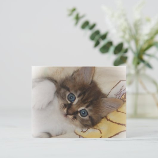 Carte postale Rocket (Debout devant)