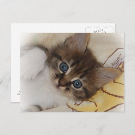 Carte postale Rocket (Devant / Derrière)