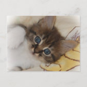 Carte postale Rocket (Devant)