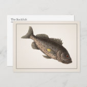 Carte postale Rockfish - Style I (Devant / Derrière)