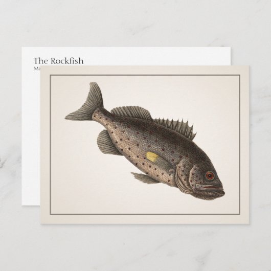 Carte postale Rockfish - Style I (Devant / Derrière)