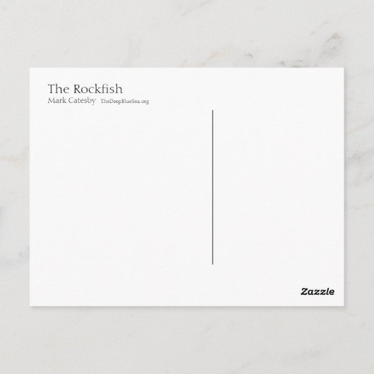 Carte postale Rockfish - Style I (Dos)