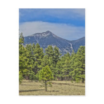 Rockies du Colorado
