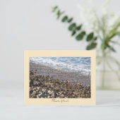 Carte Postale Rocks Waves Rhode Island Postcard (Debout devant)