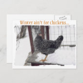 Carte postale Rocky (Devant / Derrière)