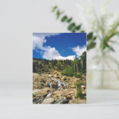 Carte postale Rocky Mountain (Debout devant)