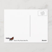 Carte Postale Rocky Mountain Chipmunk (Dos)