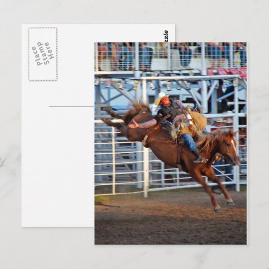 Carte Postale Rodéo ! (Devant / Derrière)