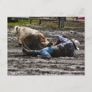 Carte Postale Rodeo Cowboy Steer Lutte
