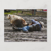 Carte Postale Rodeo Cowboy Steer Lutte (Devant)