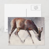 Carte Postale Roe Buck hiver 2000 (Devant / Derrière)