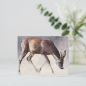 Carte Postale Roe Buck hiver 2000 (Debout devant)