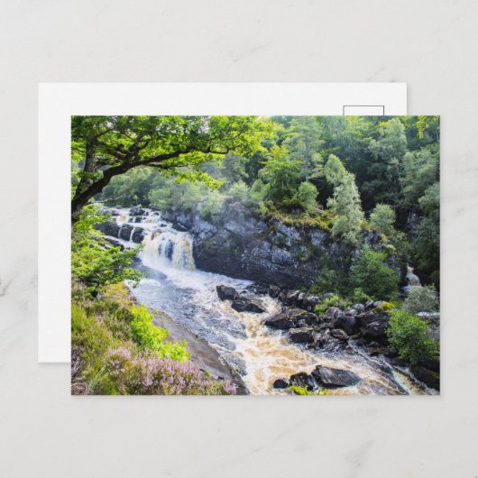 Carte Postale Rogie Falls, Écosse (Devant / Derrière)