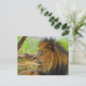 Carte Postale Roi (Debout devant)