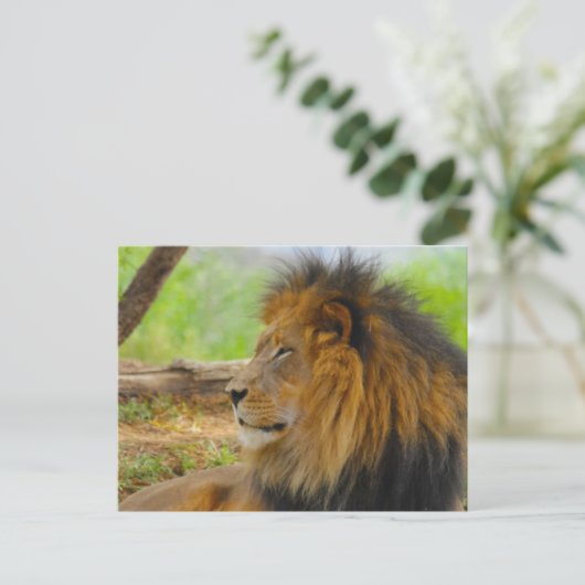 Carte Postale Roi (Debout devant)