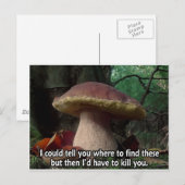 Carte Postale Roi Bolete - Je devrais te tuer (Devant / Derrière)