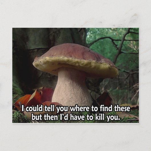 Carte Postale Roi Bolete - Je devrais te tuer (Devant)