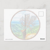 Carte Postale Roi Cervus (Dos)