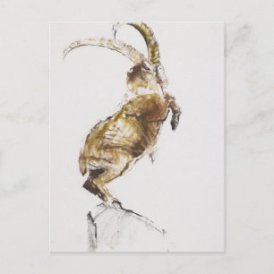 Carte Postale Roi de la Montagne 2005