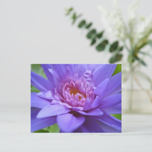 Carte Postale Roi de Siam (Debout devant)