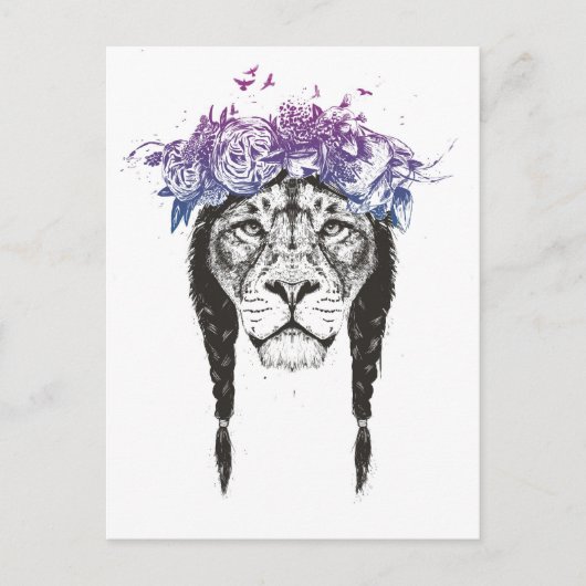 Carte Postale Roi des lions (Devant)
