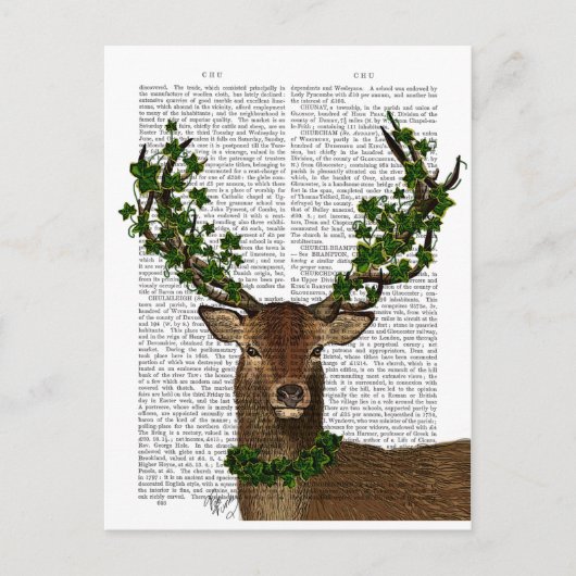 Carte Postale Roi vert (Devant)