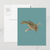 Carte Postale Roitelet à couronne rubis (Regulus calendula) (Devant / Derrière)