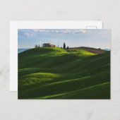 Carte Postale Rolling Hill Près D'Asciano, Toscane (Devant / Derrière)