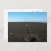 Carte Postale Rolling Stone à la plage (Devant / Derrière)