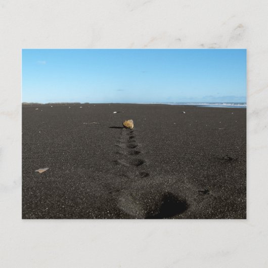 Carte Postale Rolling Stone à la plage (Devant)