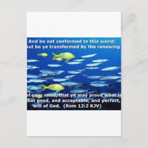 Carte Postale Romains 12:2