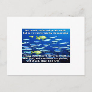 Carte Postale Romains 12:2