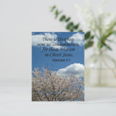 Carte Postale Romains 8:1 Il n'y a donc plus de condamnation (Debout devant)