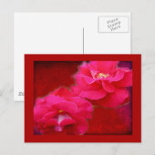 Carte Postale Romance et Roses rouges (Devant / Derrière)