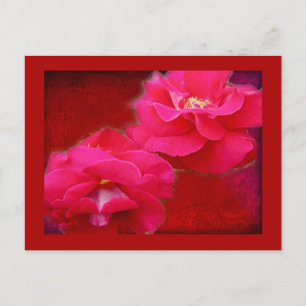 Carte Postale Romance et Roses rouges