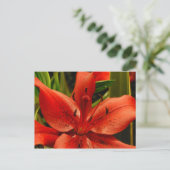 Carte Postale Romance russe (Debout devant)