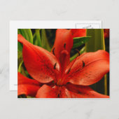 Carte Postale Romance russe (Devant / Derrière)