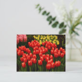 Carte Postale Romance russe (Debout devant)