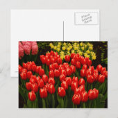 Carte Postale Romance russe (Devant / Derrière)